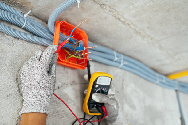 Best Residential Electrician Services  in River Ridge, FL