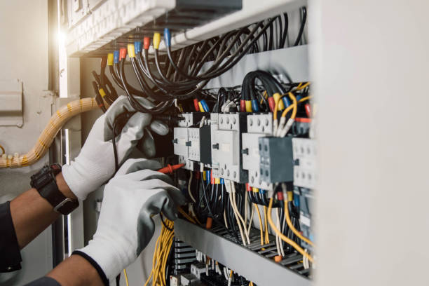 Best Electric Panel Repair  in River Ridge, FL